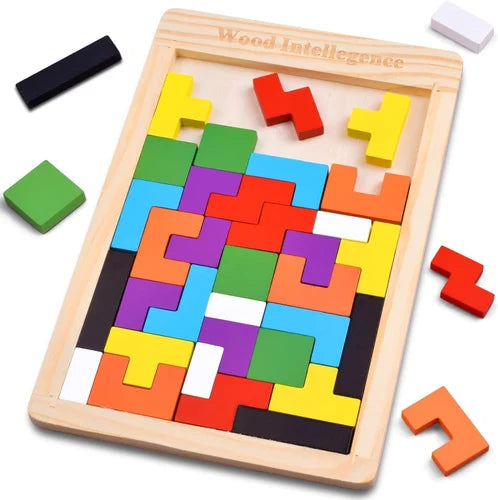 Wooden intelligence puzzle - Pack of 5