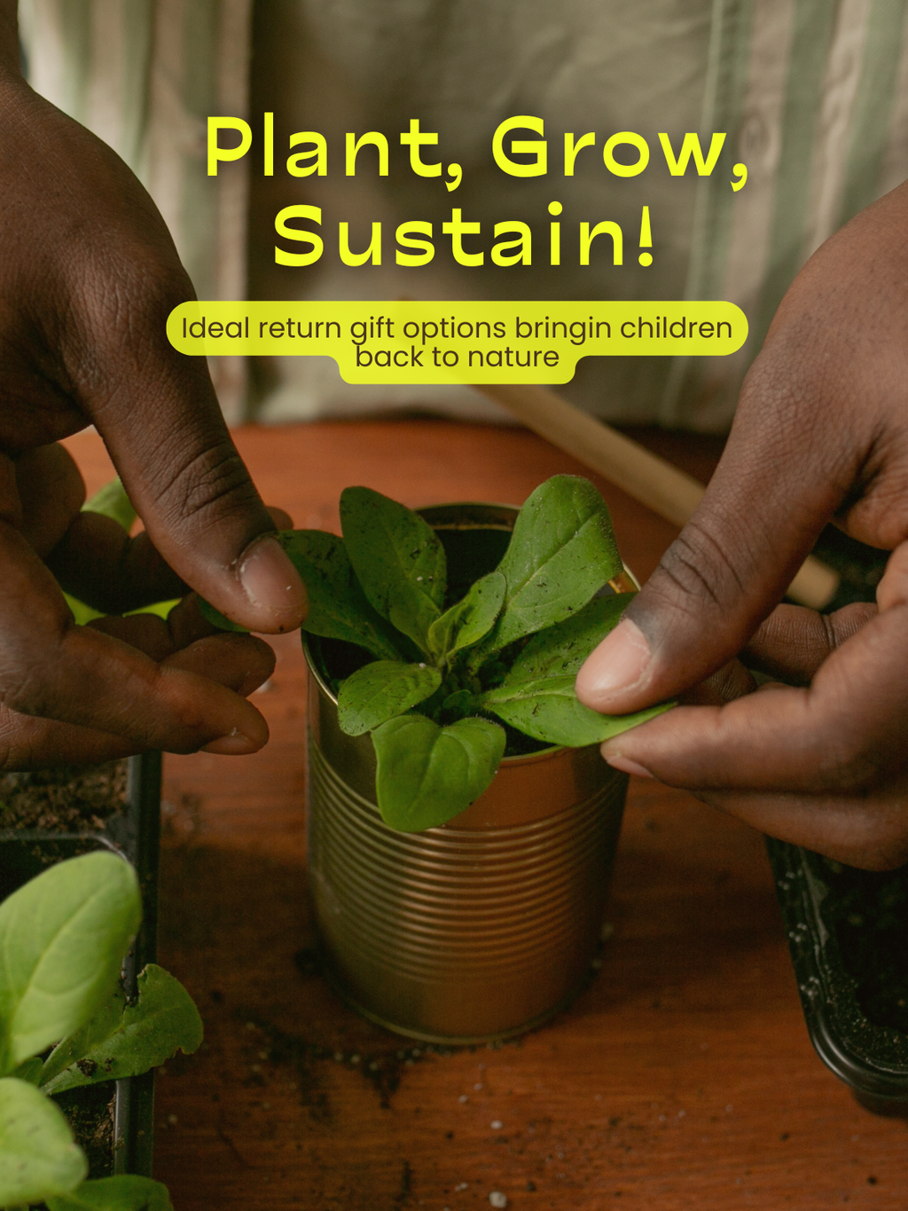 Giftyjoy Plantable Seed Pencils  – The Pencil That Grows Into A Plant!